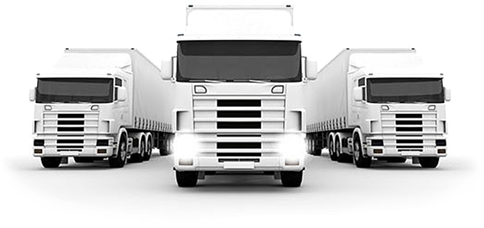 Quem Somos - Primordial Cargas